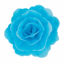 Obrazek RÓŻA CHIŃSKA ŚREDNIA NIEBIESKA 200318 ROSE DECOR 