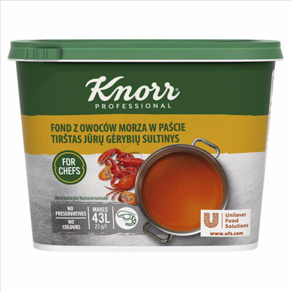 Obrazek PASTA FOND Z OWOCÓW MORZA 1KG KNORR 68672427