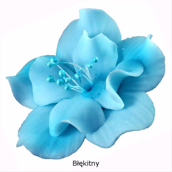 Obrazek DEKORACJA CUKROWA KWIAT MAGNOLIA NIEBIESKA K04M OP.10SZT. MAGMART