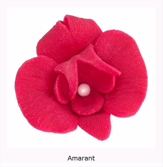 Obrazek DEKORACJA CUKROWA KWIAT CYMBIDIUM AMARANTOWE K055 OP.10SZT MAGMART